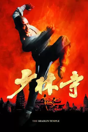 Shaolin Temple Poster