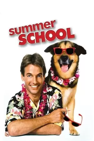 Summer School Poster