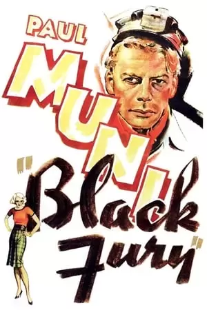 Black Fury Poster