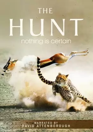 The Hunt Poster